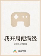 我开局便满级