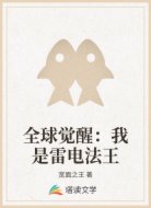 全球觉醒：我是雷电法王