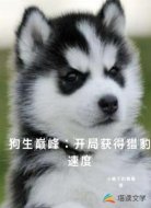 狗生巅峰开局获得猎豹速度