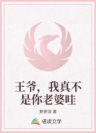 王爷,我真不是你老婆哇