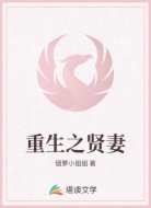 重生之贤妻