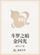 斗罗之暗金闪光