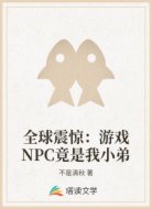 全球震惊：游戏NPC竟是我小弟