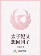 太子妃又想回国了
