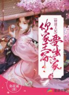 财迷王妃:你家王爷要出家
