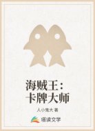 海贼王:卡牌大师