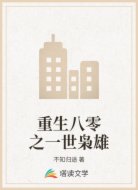 重生80之一世枭雄