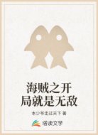 海贼之开局就是无敌