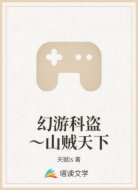 幻游科盗~山贼天下