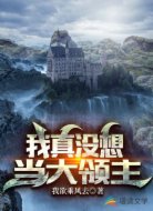 我真没想当大领主