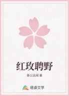 红玫聘野