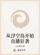 从浮空岛开始直播狂袭