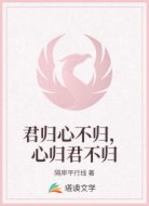 君归心不归，心归君不归