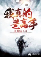我真的是高手