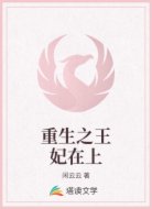 重生之王妃在上
