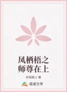 凤栖梧之师尊在上