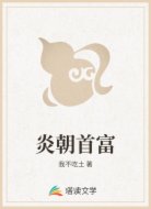 炎朝首富