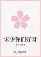 宋少你们好呀