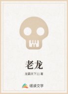 老龙