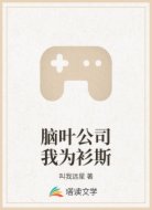 脑叶公司我为衫斯
