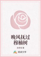 晚风抚过穆楠树