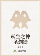 转生之神圣剑徒