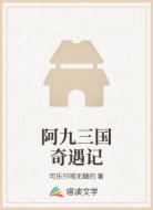 阿九三国奇遇记