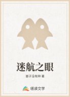 迷航之眼