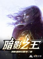暗影之王