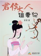 君侯大人追妻记