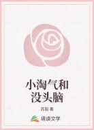 小淘气和没头脑