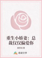 重生小娇妻：总裁仅仅偏爱你