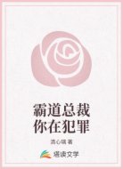 霸道总裁你在犯罪
