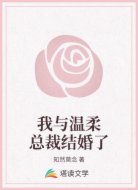 我与温柔总裁结婚了
