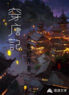 穿唐记