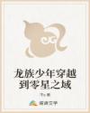 龍族少年穿越到零星之域