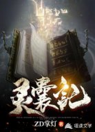 灵囊记