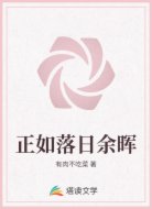 正如落日余晖