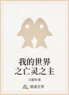 我的世界之亡灵之主