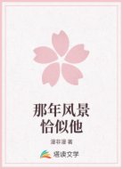 那年风景恰似他
