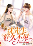 沈先生，好久不见