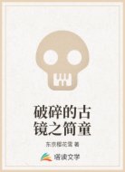 破碎的古镜之简童