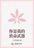 你是我的致命武器