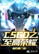 CSGO之至高荣耀