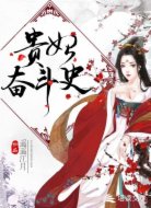 贵妃奋斗史
