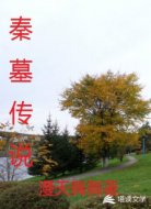 秦墓传说