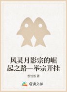 风灵月影宗的崛起之路—举宗开挂