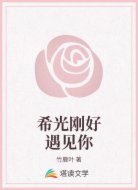 希光刚好遇见你