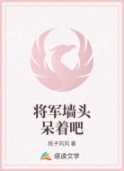 将军墙头呆着吧