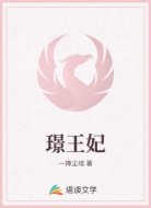 璟王妃